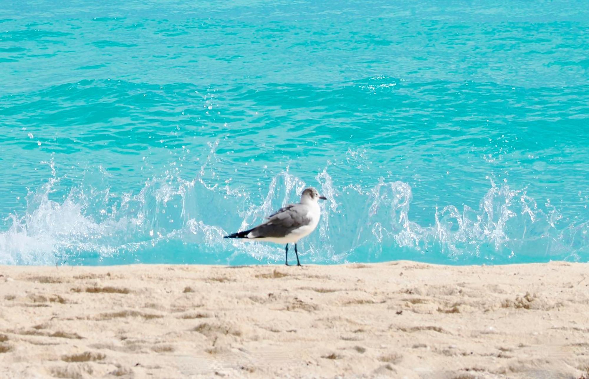 Solymar Beach Condos Cancún Esterno foto